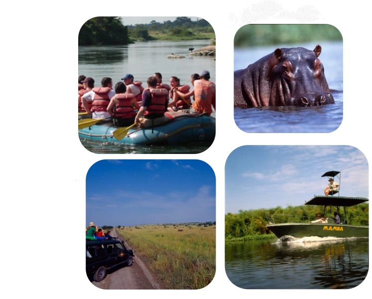 Equatorial Wild Safaris